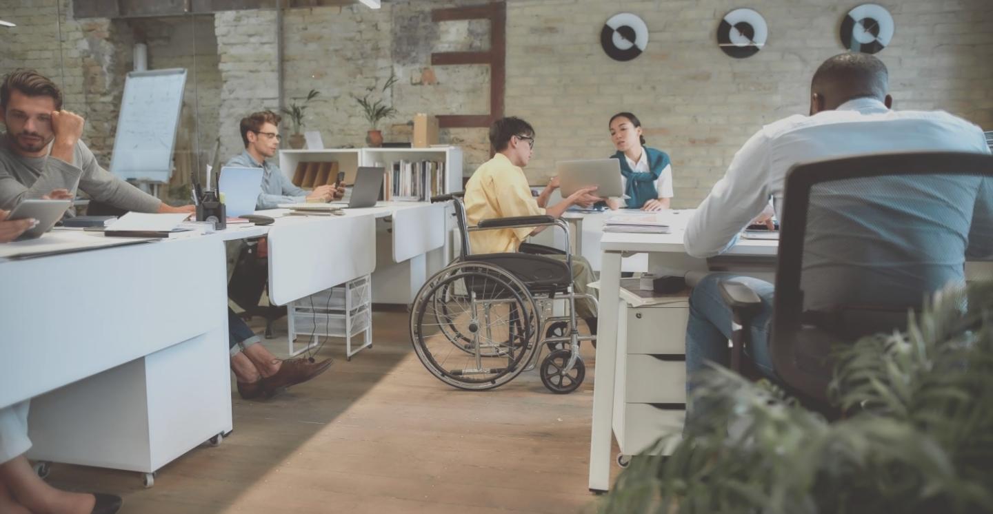 SEO Strategie Lernplattform